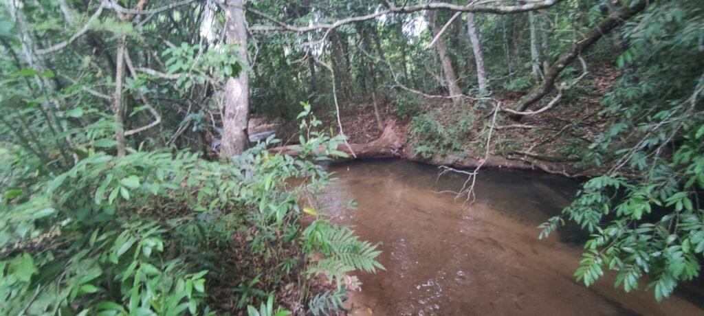 Maravilhosa Chácara 20ha – Recifra – Alto Paraíso de Goiás
