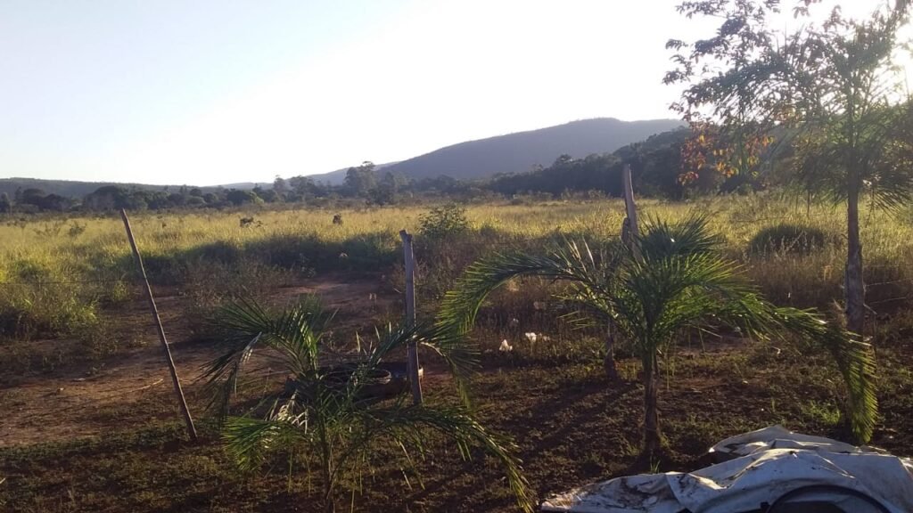 Maravilhosa Chácara 20ha – Recifra – Alto Paraíso de Goiás