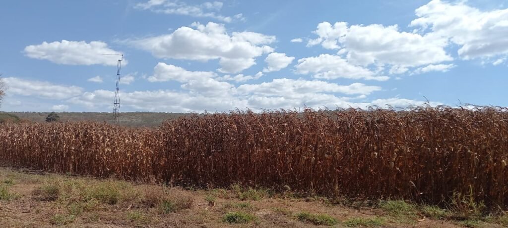 Fazenda 100ha- Rio – Casa Sede – 13km de Alto Paraíso e 1km de Terra