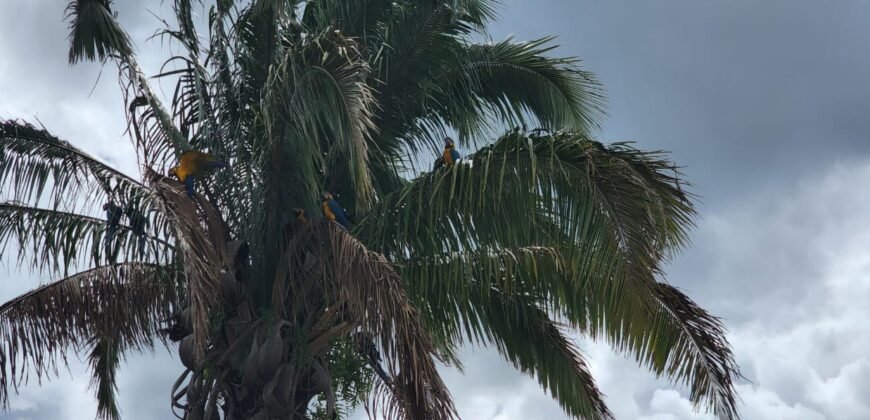 Lotes de 800 a 974m2 m2 –  Condomínio Indaía – Alto Paraíso de Goiás