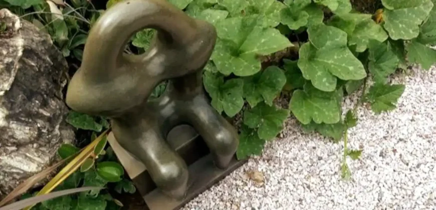 Pousada – Alto Padrão – Piscina Natural – Bairro Eldorado – Alto Paraíso de Goiás