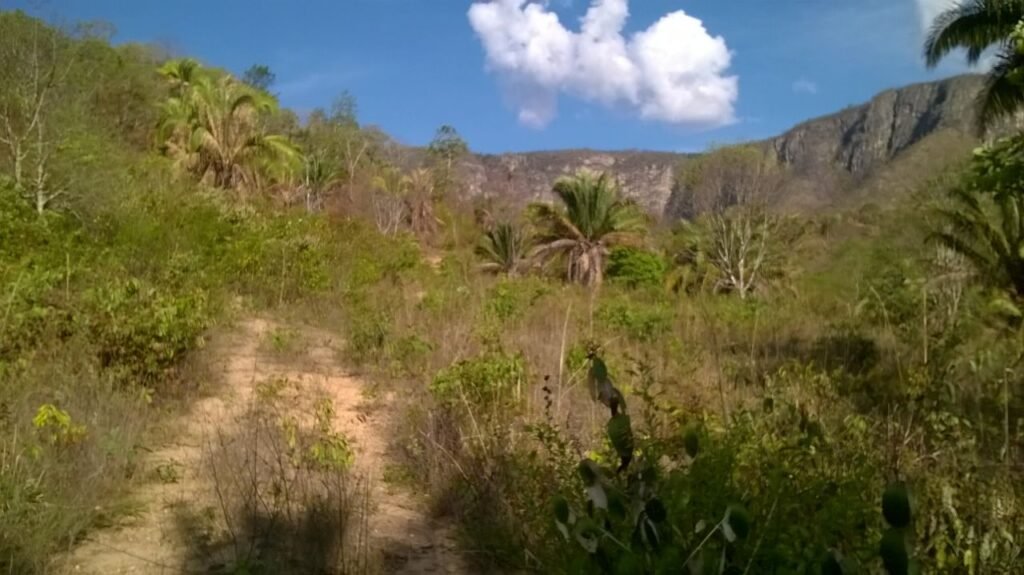 Chácara 14,6ha- Linda Vista – Poço artesiano – na Fazenda Santa Rita – 14km de Alto Paraíso de Goiás