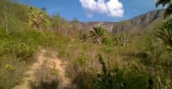 Chácara 14,6ha- Linda Vista – Poço artesiano – na Fazenda Santa Rita – 14km de Alto Paraíso de Goiás Chácara 14,6ha- Linda Vista – Poço artesiano – na Fazenda Santa Rita – 14km de Alto Paraíso de Goiás