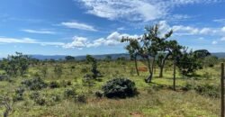 Chácara 4ha – Poço artesiano – 5km de Alto Paraíso sentido Cachoeira dos Cristais – Chapada dos Veadeiros
