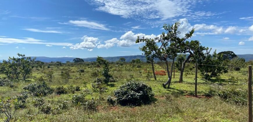 Chácara 4ha – Poço artesiano – 5km de Alto Paraíso sentido Cachoeira dos Cristais – Chapada dos Veadeiros