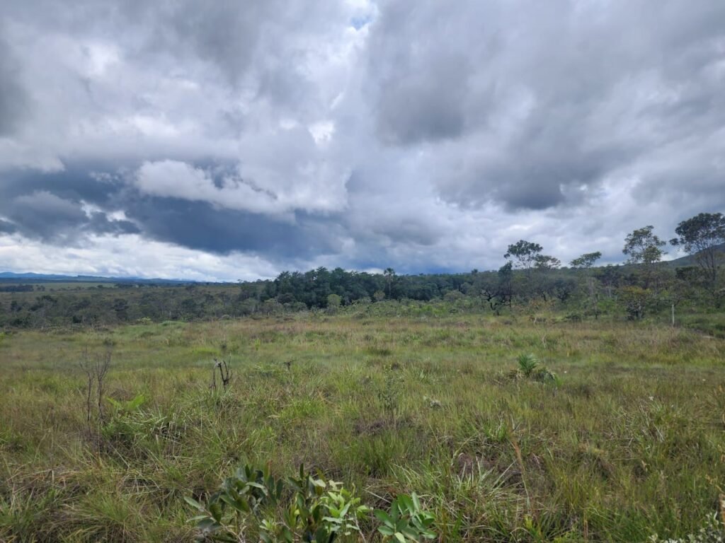 Chácara – Porteira Fechada – Rio – 5.7ha -Vale Verde – Alto Paraíso de Goiás