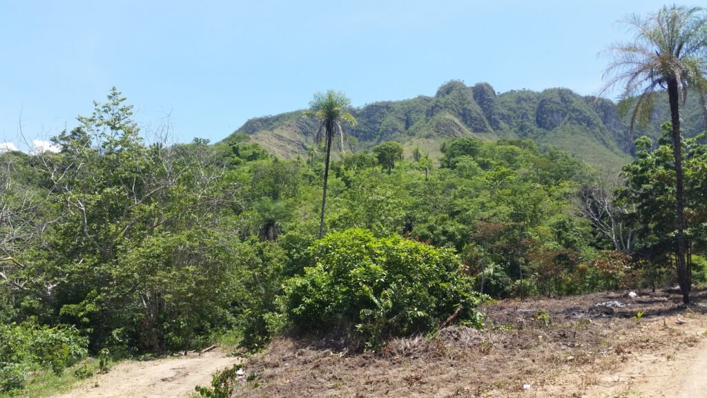 Chácara 14,6ha- Linda Vista – Poço artesiano – na Fazenda Santa Rita – 14km de Alto Paraíso de Goiás