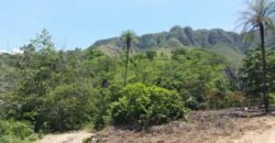 Chácara 14,6ha- Linda Vista – Poço artesiano – na Fazenda Santa Rita – 14km de Alto Paraíso de Goiás Chácara 14,6ha- Linda Vista – Poço artesiano – na Fazenda Santa Rita – 14km de Alto Paraíso de Goiás