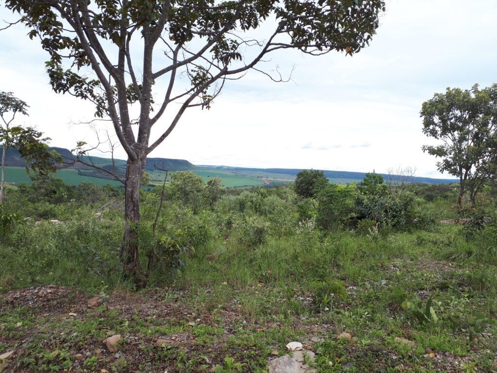 Chácara Flor da Mata 4 ha – acesso ao rio – 16 km de Alto Paraíso