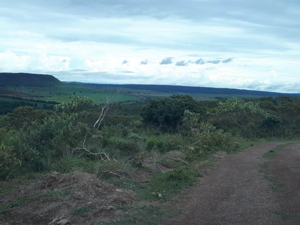 Chácara Flor da Mata 4 ha – acesso ao rio – 16 km de Alto Paraíso