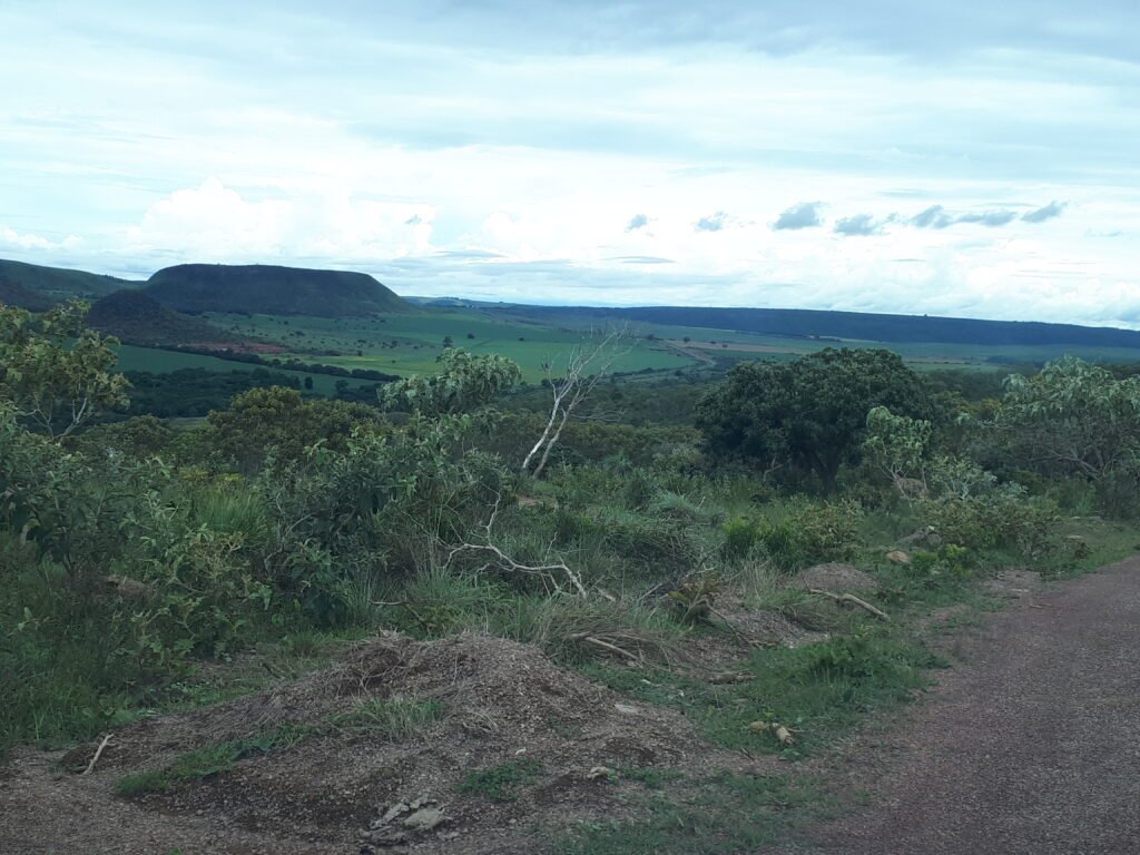 Chácara Flor da Mata 4 ha – acesso ao rio – 16 km de Alto Paraíso