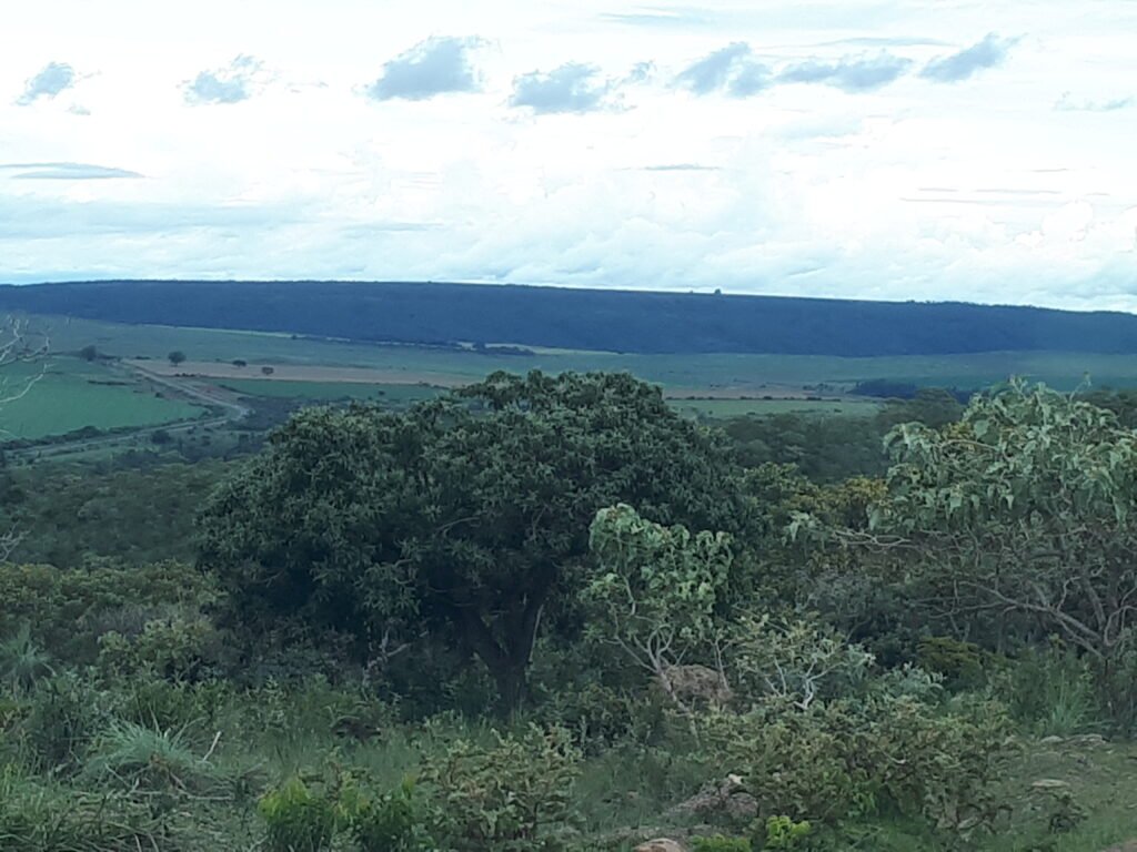 Chácara Flor da Mata 4 ha – acesso ao rio – 16 km de Alto Paraíso