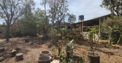 Casa + 2 Kitnet’s – São Jorge – Alto Paraíso de Goiás Casa + 2 Kitnet’s – São Jorge – Alto Paraíso de Goiás