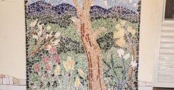 Casa + 2 Kitnet’s – São Jorge – Alto Paraíso de Goiás Casa + 2 Kitnet’s – São Jorge – Alto Paraíso de Goiás