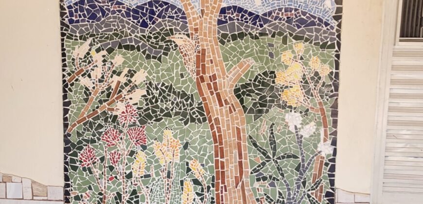 Casa + 2 Kitnet’s – São Jorge – Alto Paraíso de Goiás