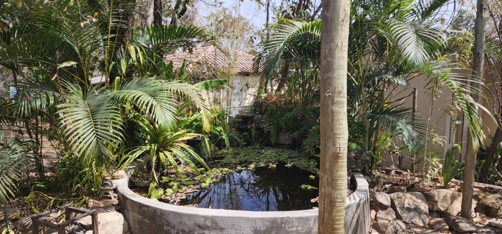Casa + 2 Kitnet’s – São Jorge – Alto Paraíso de Goiás