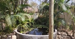 Casa + 2 Kitnet’s – São Jorge – Alto Paraíso de Goiás Casa + 2 Kitnet’s – São Jorge – Alto Paraíso de Goiás