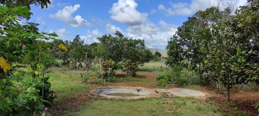 3 Casas Bioconstrução – Condomínio Rural IBC – Rio- 4km de Alto Paraíso de Goiás