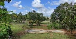 3 Casas Bioconstrução – Condomínio Rural IBC – Rio- 4km de Alto Paraíso de Goiás