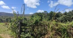 Vende-se Casa Adobe – Condomínio Oasis – Vale Azul – Alto Paraíso de Goiás Vende-se Casa Adobe – Condomínio Oasis – Vale Azul – Alto Paraíso de Goiás