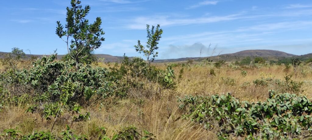 Chácara 5ha – na  Fazenda São Bento – entre Alto Paraíso e São Jorge