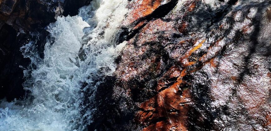 Chácara 7ha – Sentido Cachoeira dos Cristais – Alto Paraíso de Goiás