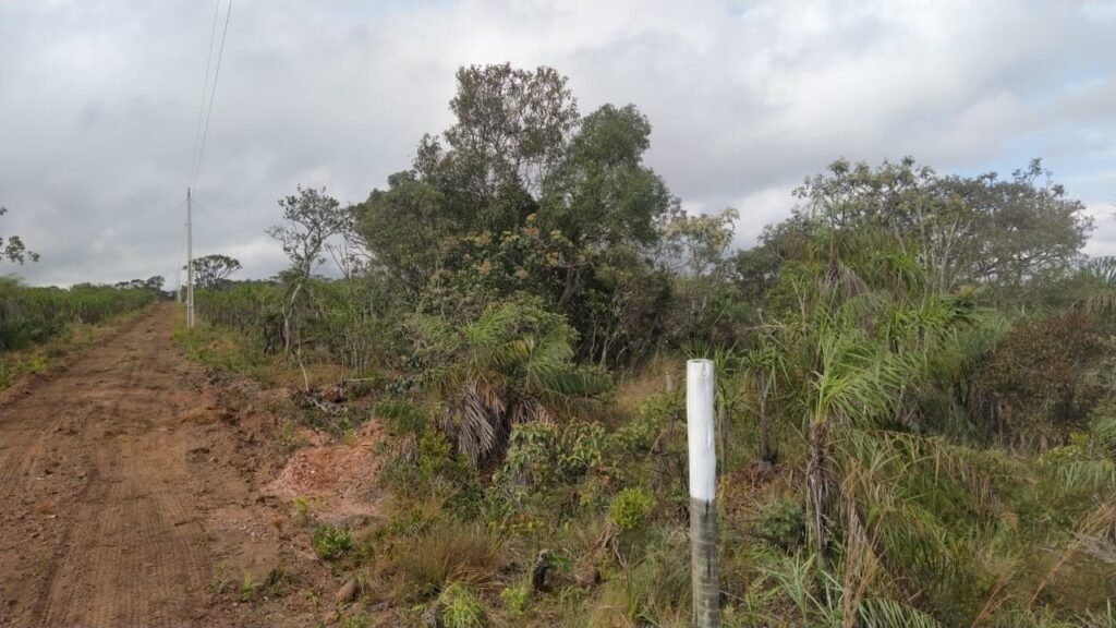 Chácara 4 ha – 5 km de Alto Paraíso sentido Cachoeira dos Cristais