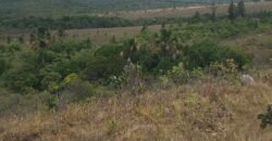 Chácara 4 ha – 13 km de Alto Paraíso sentido São Jorge