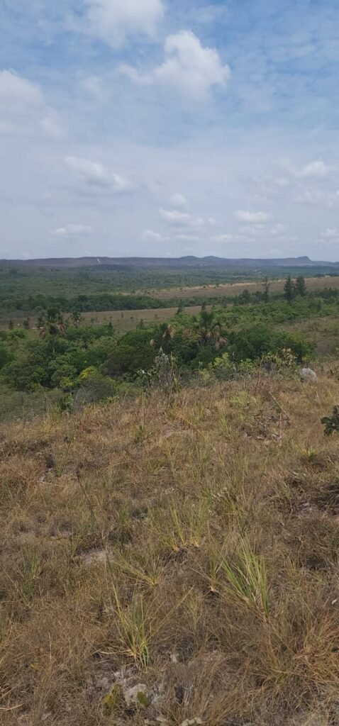 Chácara 4 ha – 13 km de Alto Paraíso sentido São Jorge