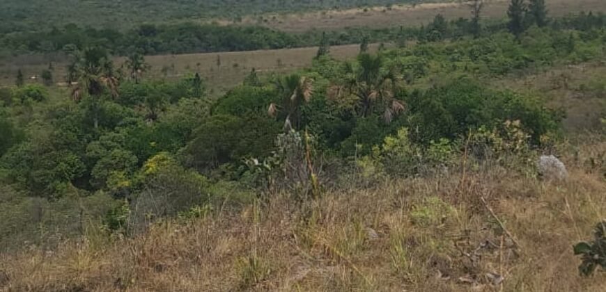 Chácara 4 ha – 13 km de Alto Paraíso sentido São Jorge
