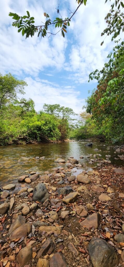 Chácara 4ha Beira Rio São Miguel – 17km de São Jorge – Chapada dos Veadeiros