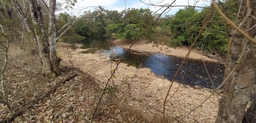 Fazenda 51ha – Beira Rio – Sertão – Alto Paraíso de Goiás