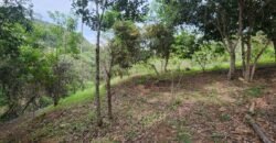 Casa – Rio – Lote 9.000 m2 – Alto Paraíso de Goiás