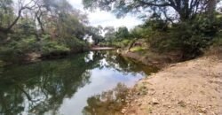 Fazenda 51ha – Beira Rio – Sertão – Alto Paraíso de Goiás