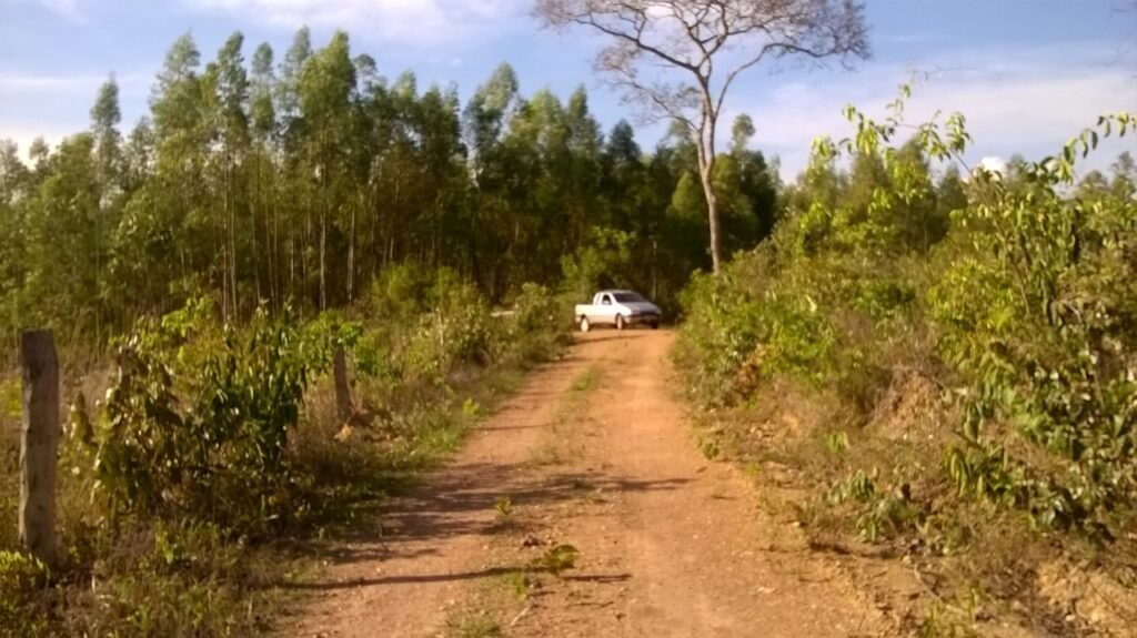 Chácara 14,6ha- Linda Vista – Poço artesiano – na Fazenda Santa Rita – 14km de Alto Paraíso de Goiás