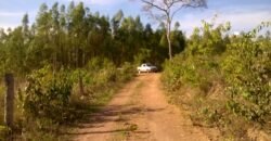 Chácara 14,6ha- Linda Vista – Poço artesiano – na Fazenda Santa Rita – 14km de Alto Paraíso de Goiás Chácara 14,6ha- Linda Vista – Poço artesiano – na Fazenda Santa Rita – 14km de Alto Paraíso de Goiás
