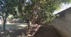 Casa – Quintal com Fruteiras – Monte Sinai – Alto Paraíso de Goiás