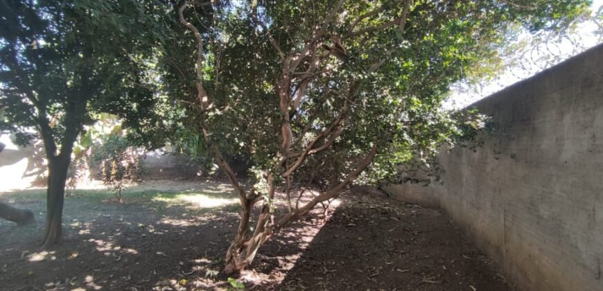 Casa – Quintal com Fruteiras – Monte Sinai – Alto Paraíso de Goiás