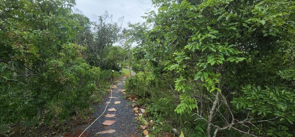 Lindo Chalé na Comunidade Rural no Km 12 – rio – entre Alto Paraíso e São Jorge