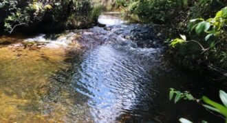 Chácara com Rio Almecegas – Vale verde – 15ha – 15km de Alto Paraíso de Goiás, Sentido Pousada Inacia Chácara com Rio Almecegas – Vale verde – 15ha – 15km de Alto Paraíso de Goiás, Sentido Pousada Inacia