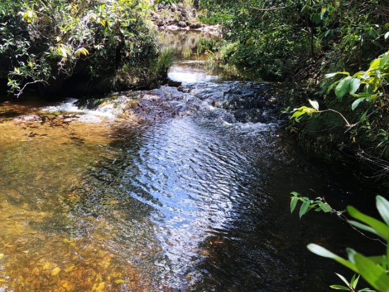 Chácara com Rio Almecegas – Vale verde – 15ha – 15km de Alto Paraíso de Goiás, Sentido Pousada Inacia