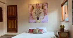 Pousada – Rio – Poço para Banho – Moinho – 4.000m2 – 12km de Alto Paraíso de Goiás Pousada – Rio – Poço para Banho – Moinho – 4.000m2 – 12km de Alto Paraíso de Goiás