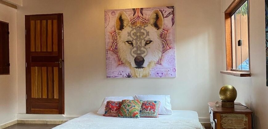 Pousada – Rio – Poço para Banho – Moinho – 4.000m2 – 12km de Alto Paraíso de Goiás