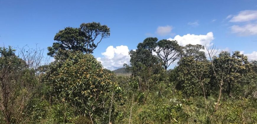Chácara 4ha – 4km de Alto Paraíso Sentido Cachoeira dos Cristais