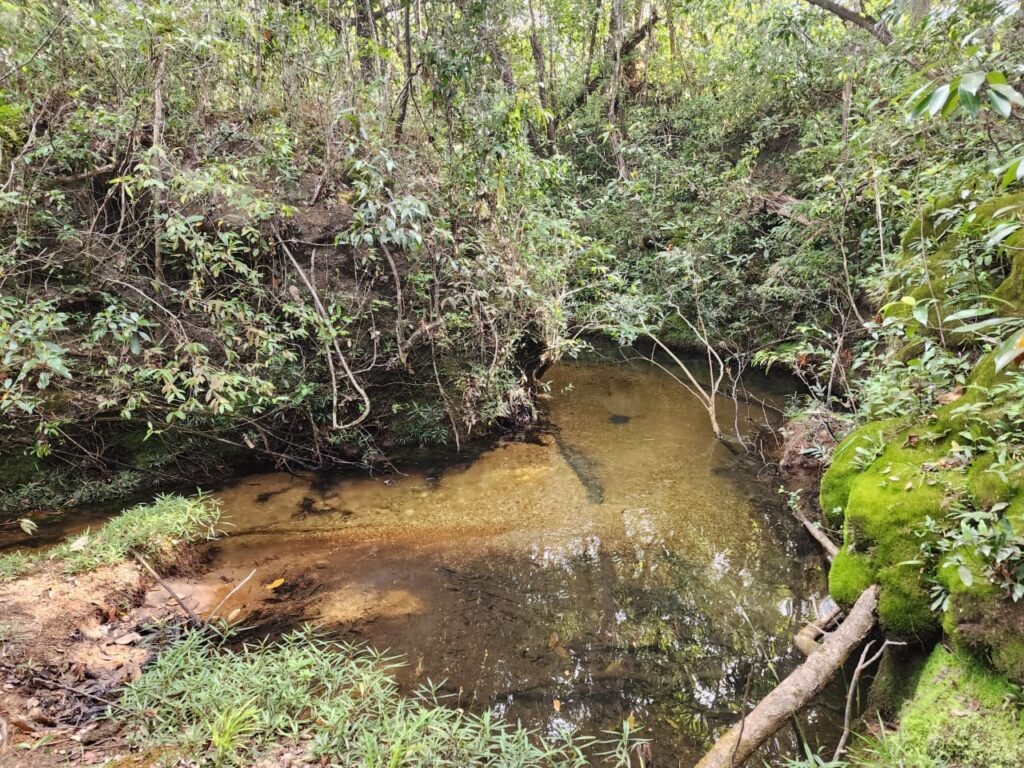 Chácara 5,30ha – Rio – Morro da Baleia – 13 km de Alto Paraíso de Goiás sentido São Jorge