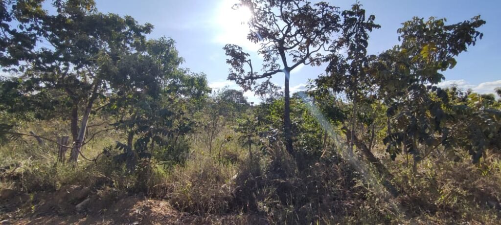 Lote 574m2 – R. dos Vinhaticos – Eldorado – Alto Paraíso de Goiás