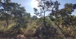Lote 574m2 – R. dos Vinhaticos – Eldorado – Alto Paraíso de Goiás Lote 574m2 – R. dos Vinhaticos – Eldorado – Alto Paraíso de Goiás