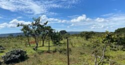 Chácara 4ha – Poço artesiano – 5km de Alto Paraíso sentido Cachoeira dos Cristais – Chapada dos Veadeiros
