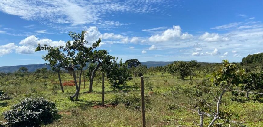 Chácara 4ha – Poço artesiano – 5km de Alto Paraíso sentido Cachoeira dos Cristais – Chapada dos Veadeiros