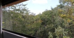 Pousada – Alto Padrão – Piscina Natural – Bairro Eldorado – Alto Paraíso de Goiás Pousada – Alto Padrão – Piscina Natural – Bairro Eldorado – Alto Paraíso de Goiás